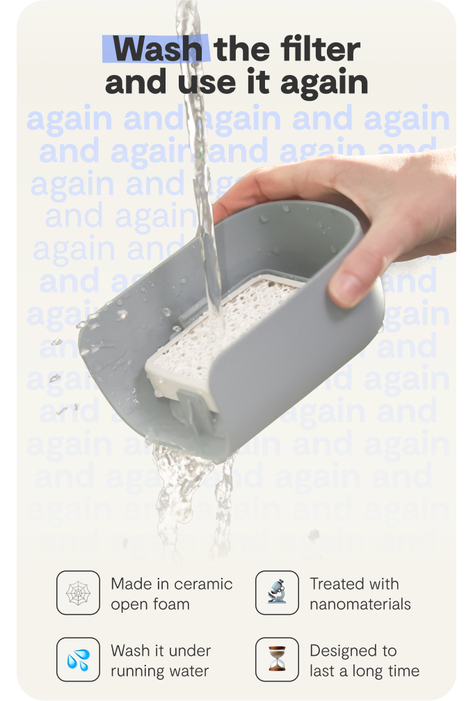 Pasted Image
